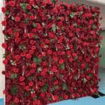 Exterior +$30.00