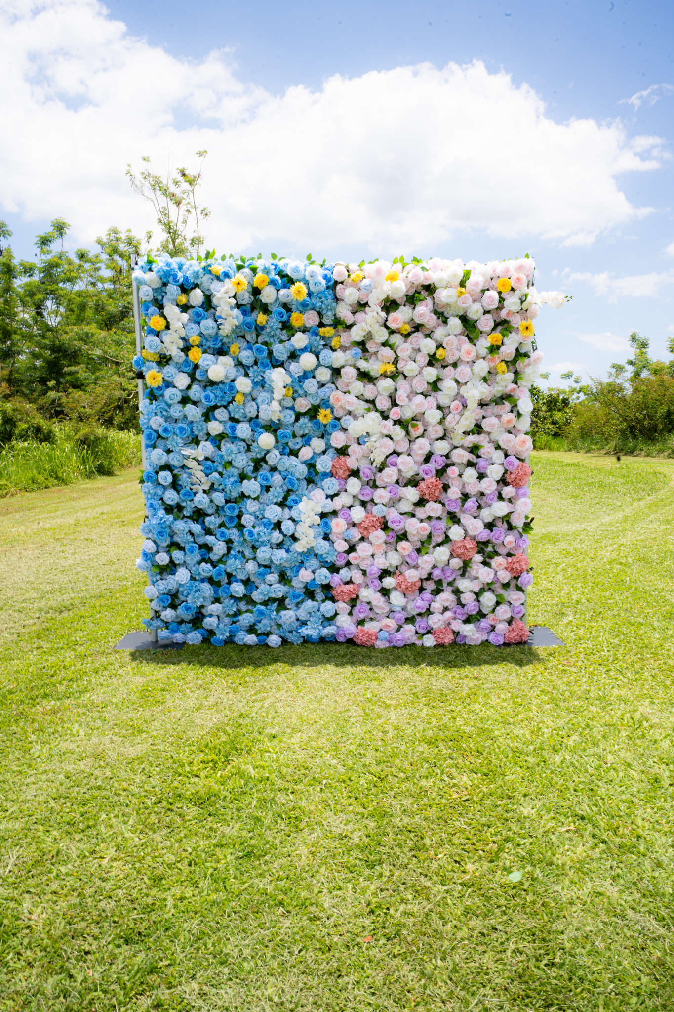The Reveal Garden