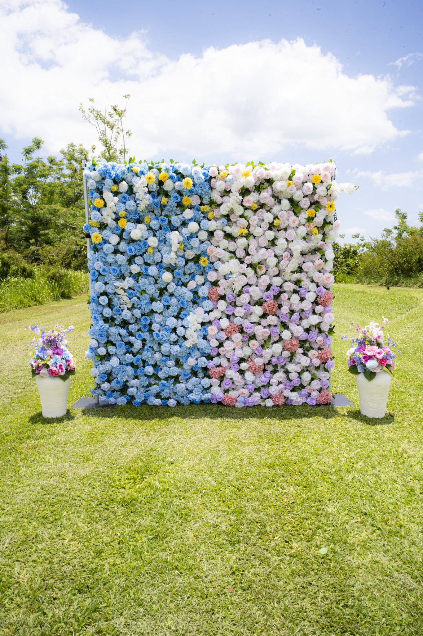 The Reveal Garden - Imagen 2