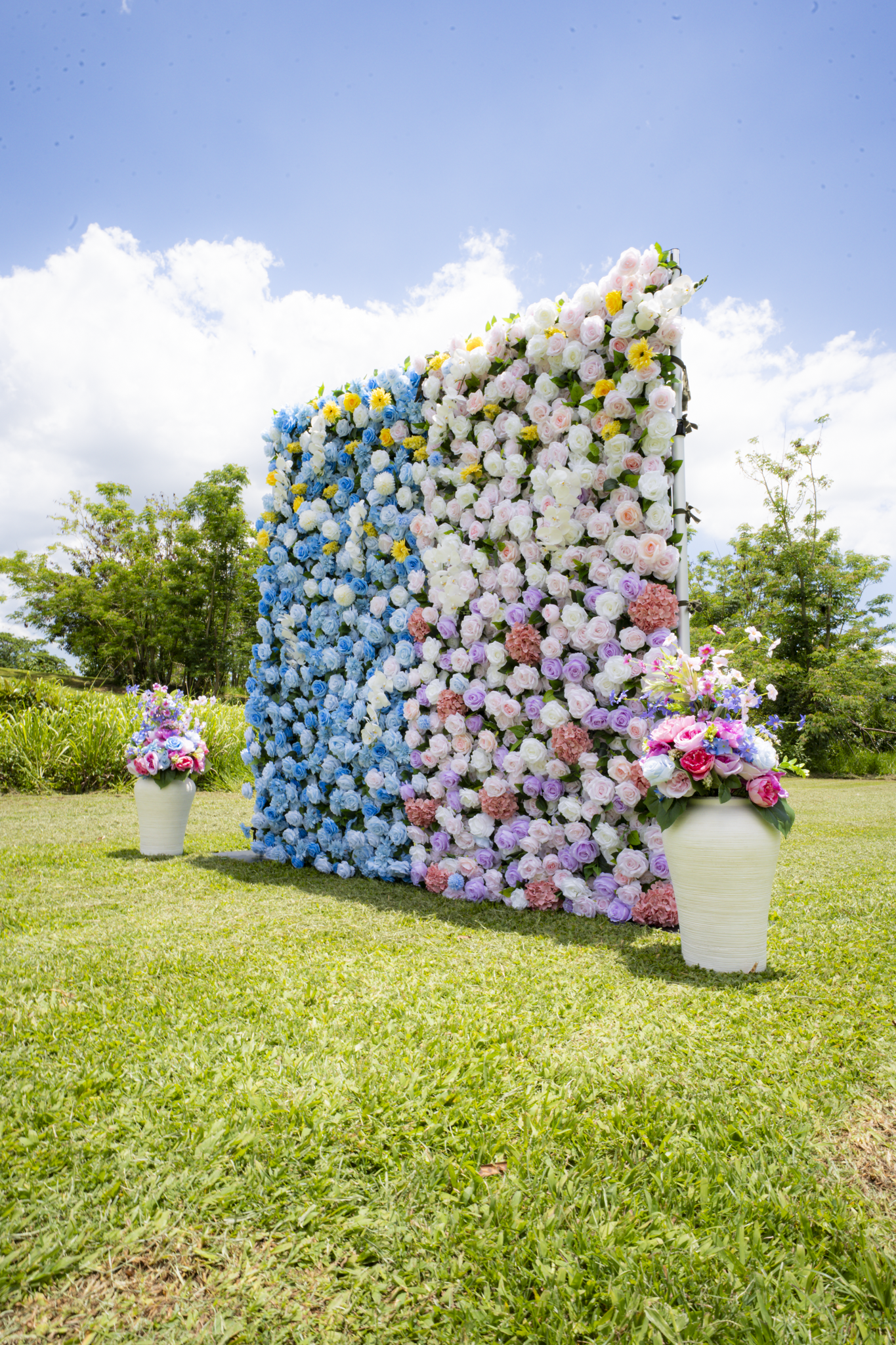 The Reveal Garden - Imagen 3