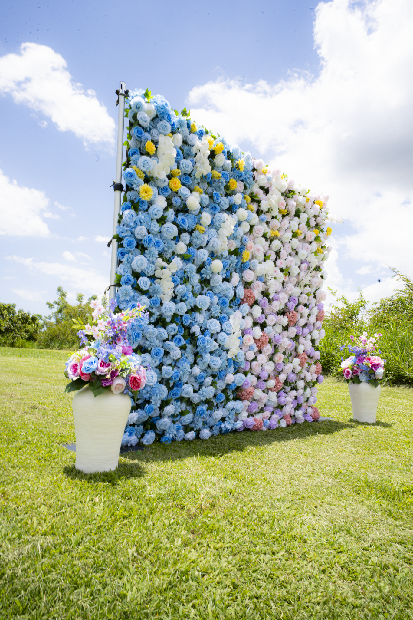 The Reveal Garden - Imagen 4
