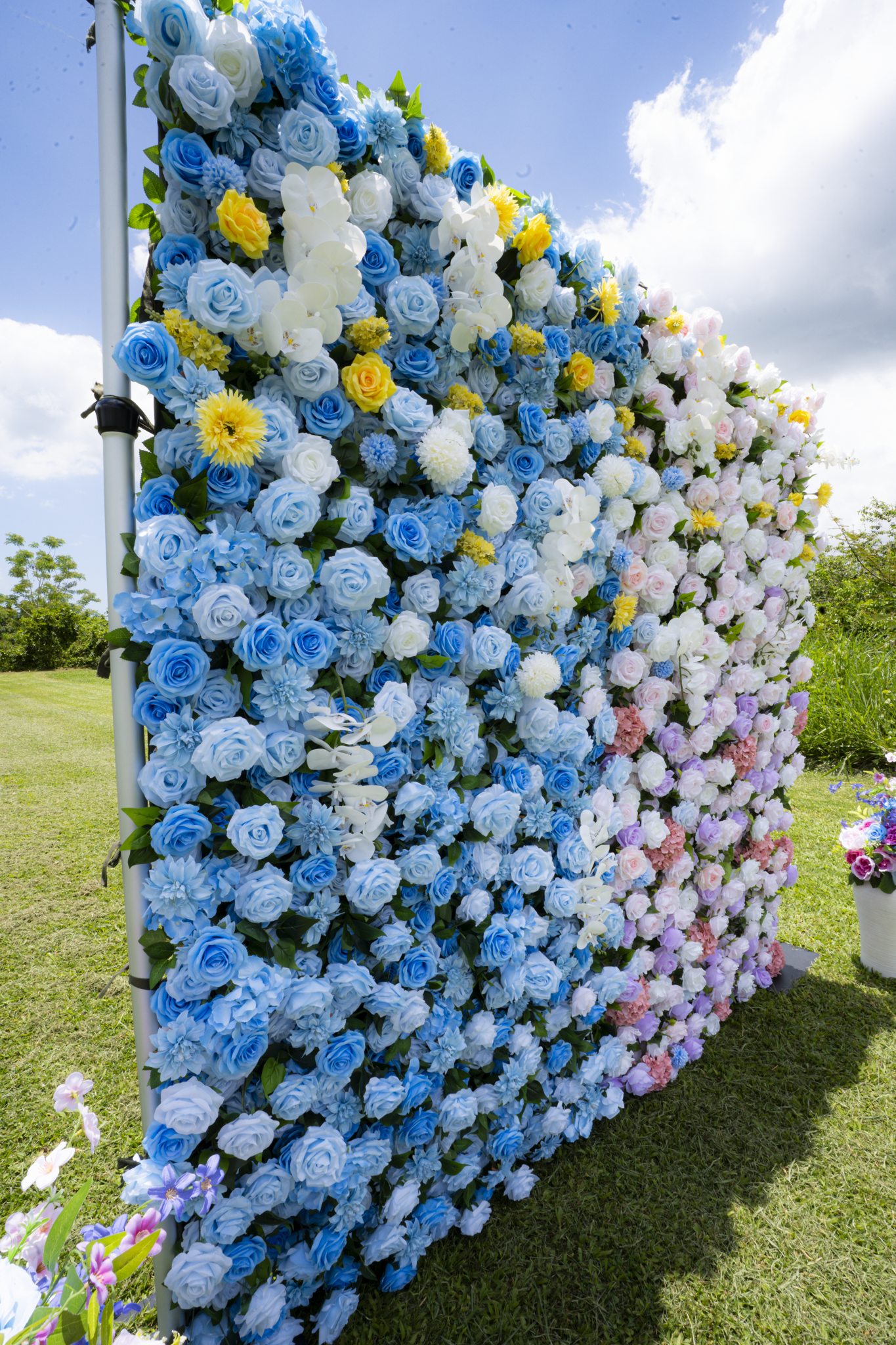 The Reveal Garden - Imagen 5