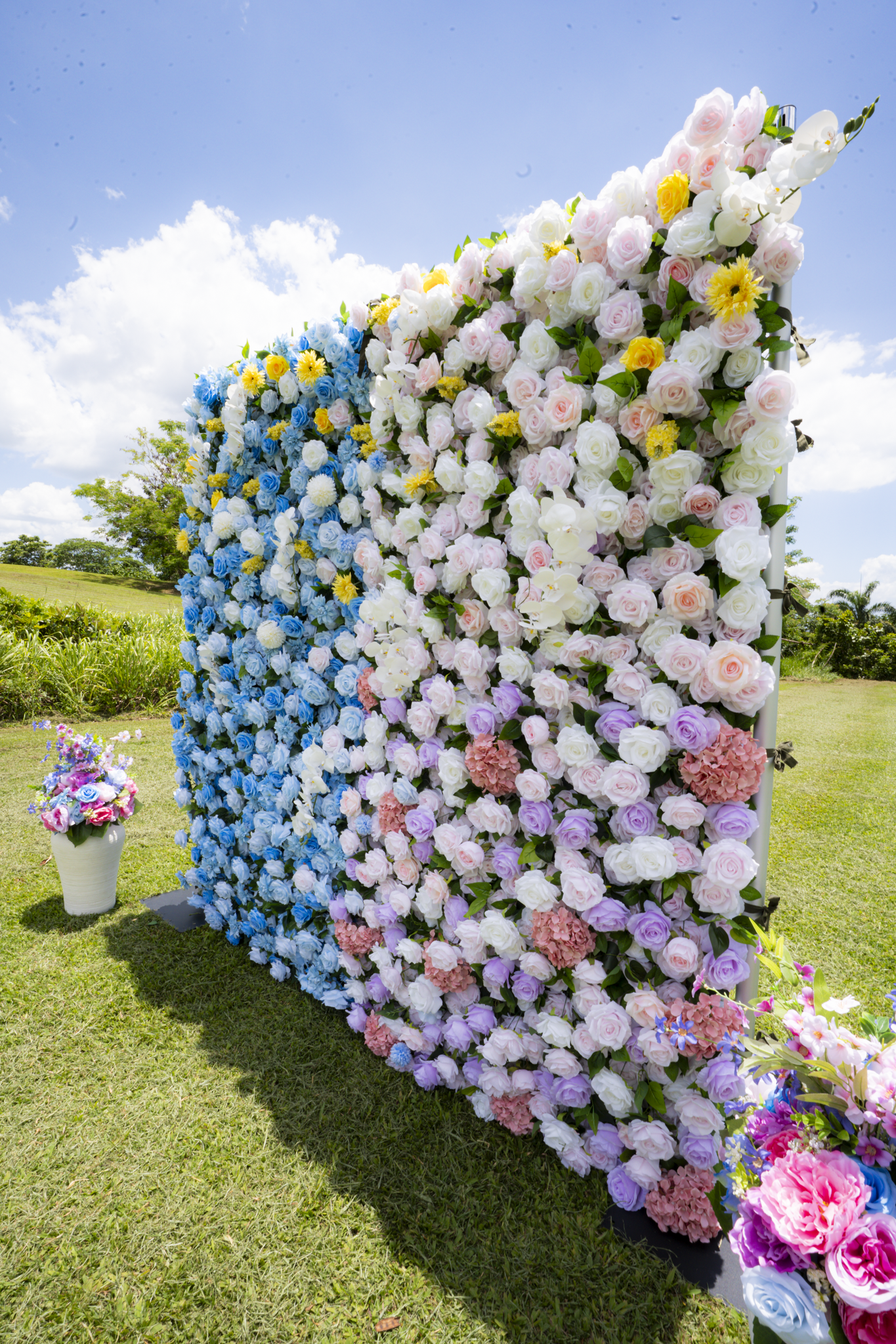 The Reveal Garden - Imagen 6