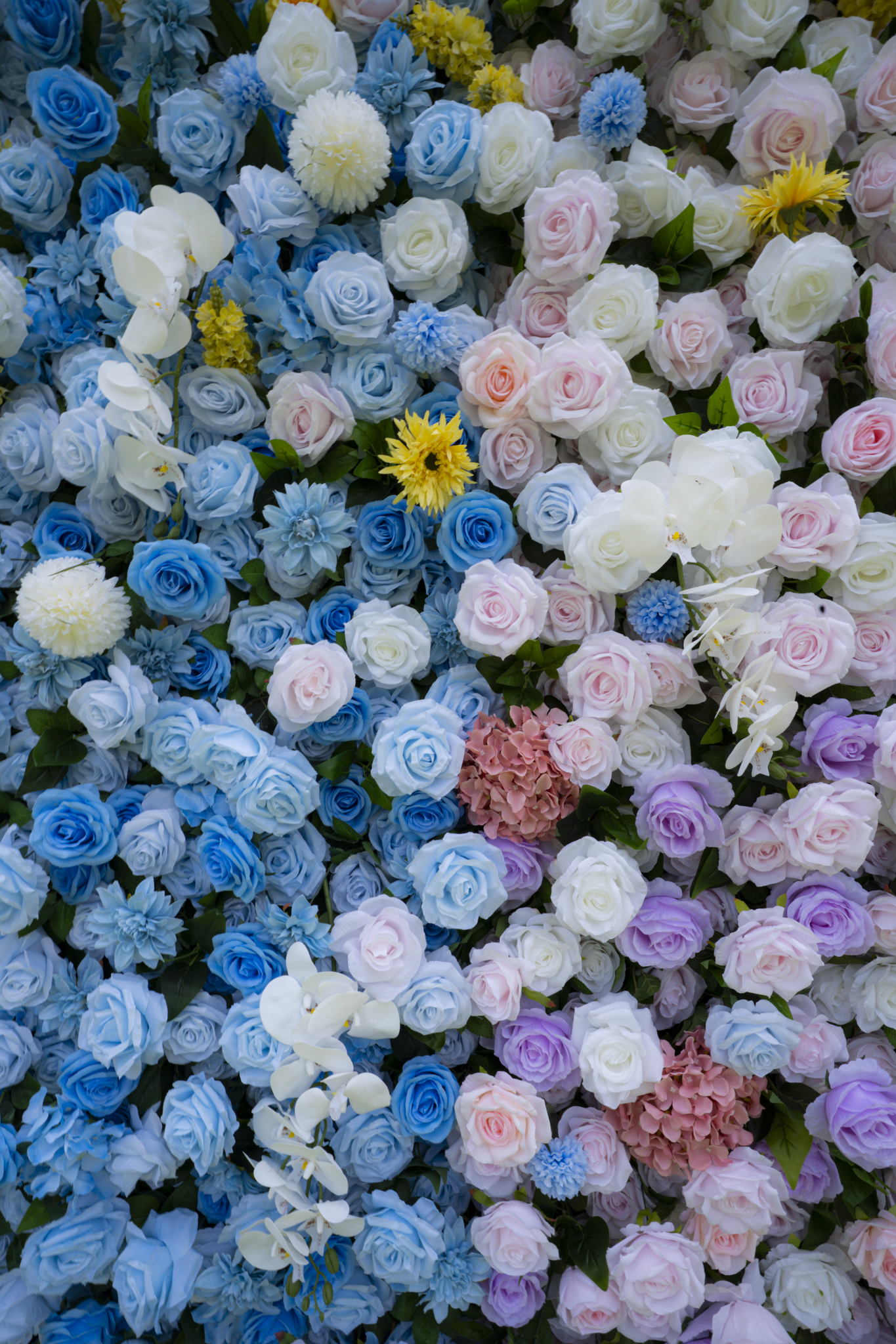 The Reveal Garden - Imagen 7