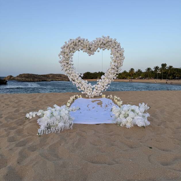 White Petal Moments: The Proposal