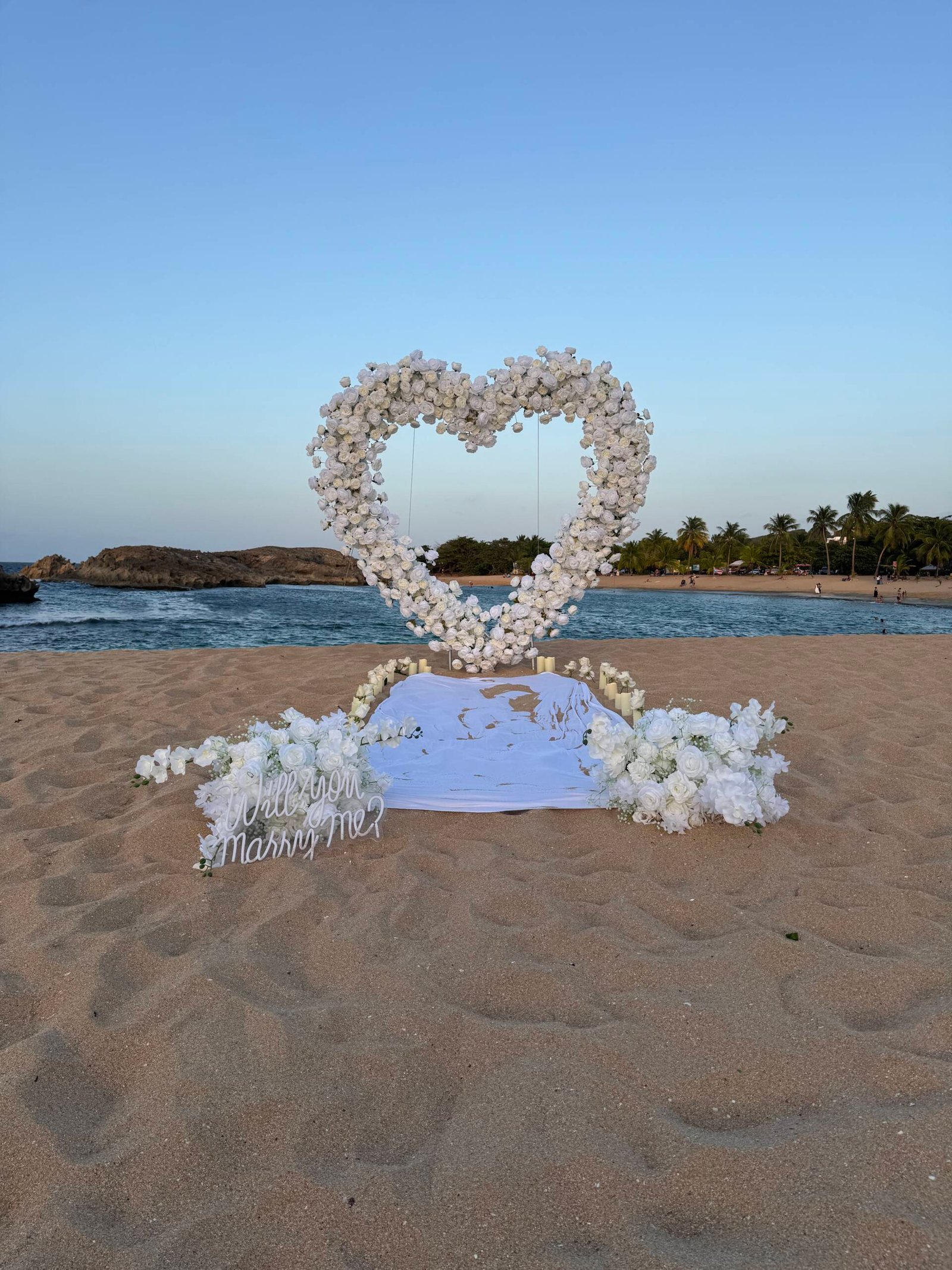 White Petal Moments: The Proposal