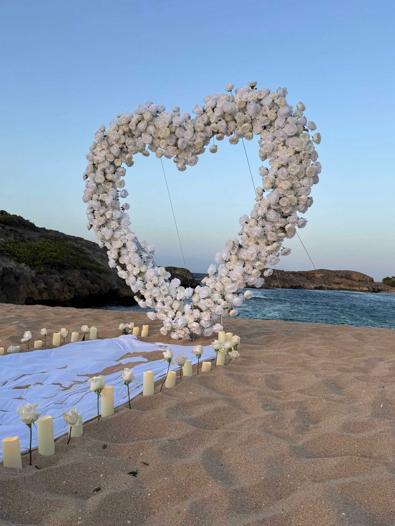 White Petal Moments: The Proposal - Imagen 2