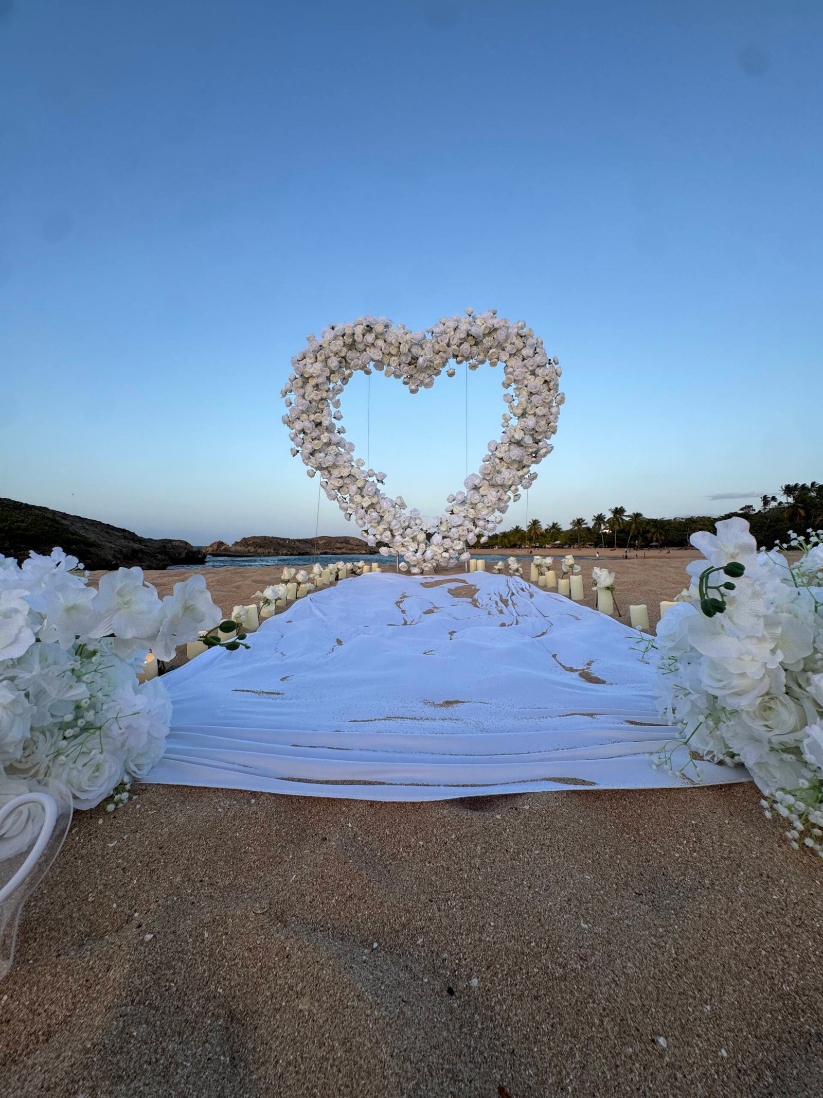 White Petal Moments: The Proposal - Imagen 3