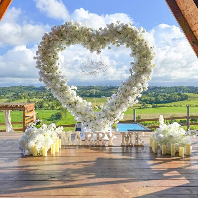 White Petal Moments: The Proposal
